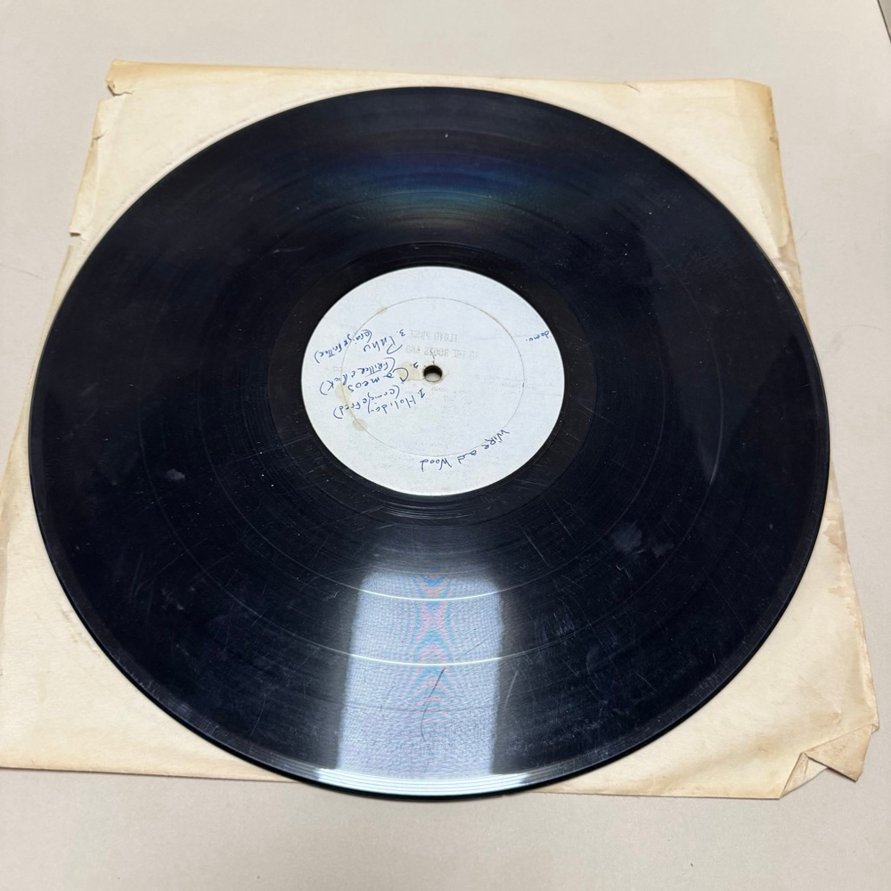 Demo / Promo Record Vinyl 33 LP Wire and Wood Band - White Label - RARE